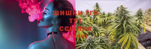 прущая мука Гусев