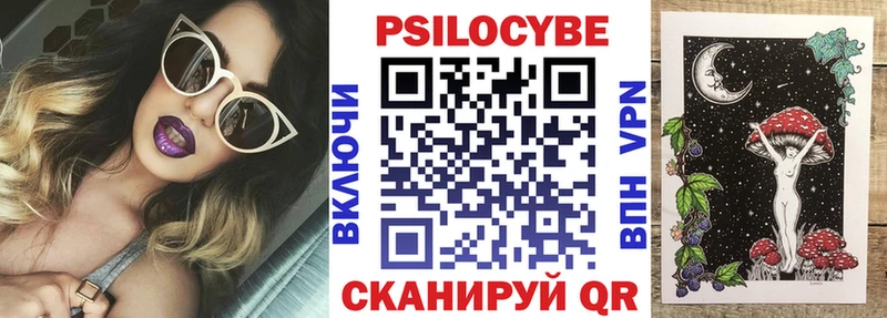 маркетплейс состав  Заводоуковск  Галлюциногенные грибы мухоморы  hydra рабочий сайт 