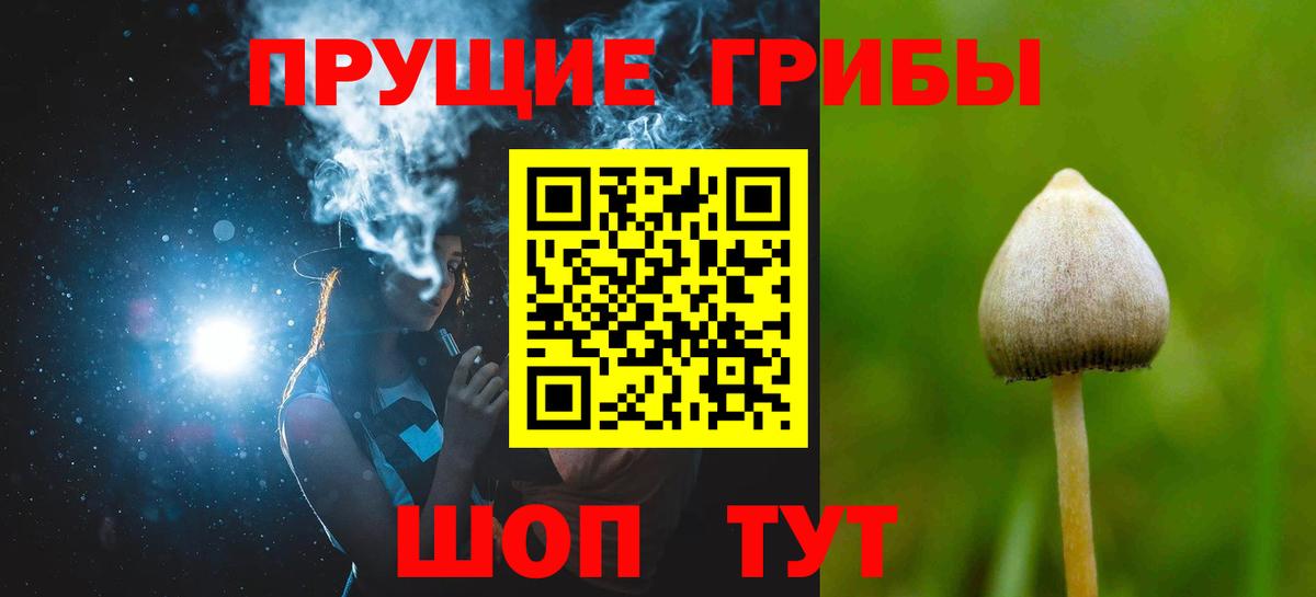 Галлюциногенные грибы Cubensis Заводоуковск